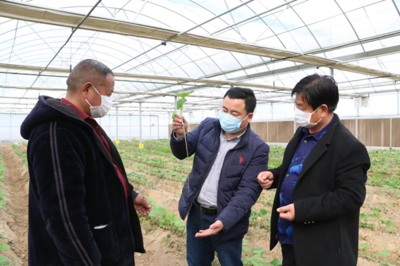 豐縣范樓鎮(zhèn)齊閣村黨支部書記曹修春 以黨的二十大精神為指引，加快發(fā)展特色產(chǎn)業(yè)和農(nóng)業(yè)種植技術(shù)開發(fā)