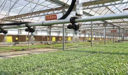 駐馬店市水屯鎮(zhèn) 科學(xué)技術(shù)'培出'產(chǎn)業(yè)振興'致富苗'