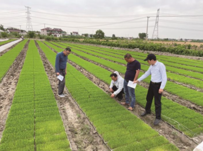 江蘇南通 1600人下沉一線，農(nóng)技智囊團田間地頭為農(nóng)業(yè)種植技術(shù)開發(fā)“把脈開方”
