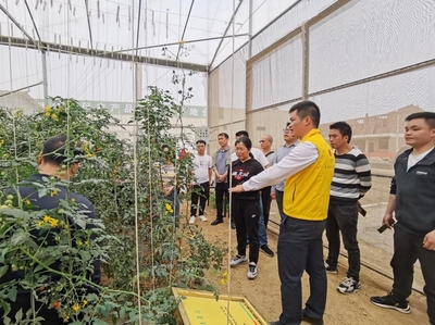 黨建引領(lǐng)聚合力 技術(shù)下鄉(xiāng)促振興——廣西山區(qū)綜合技術(shù)開發(fā)中心黨支部與天峨縣令當(dāng)村黨支部聯(lián)合開展主題黨日活動