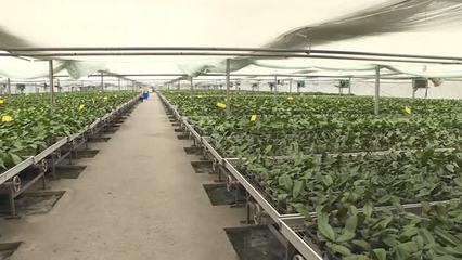 數(shù)字賦能新農(nóng)業(yè)，鎮(zhèn)江智慧農(nóng)業(yè)交出2023高質(zhì)量發(fā)展成績單