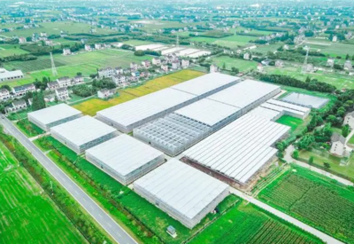 長三角農業一體化協作 從小餐桌到大業態，駛入發展“快車道”