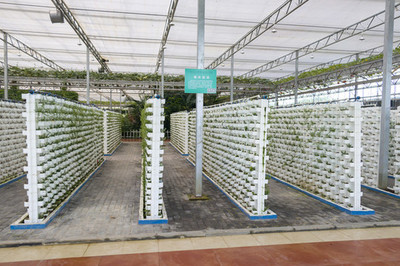 無土栽培技術在現代蔬菜基地的開發與應用前景