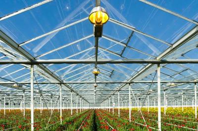 設施農業的未來已來 發展趨勢與技術創新解析