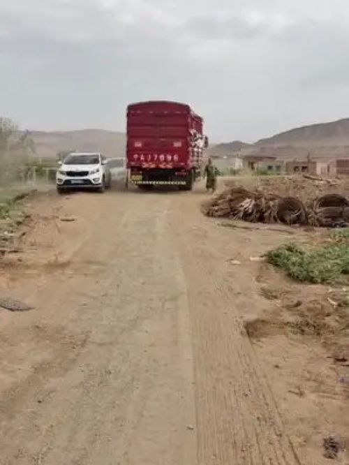 攜手誠信科技，代言家鄉滋味——全面支持三農發展，共創優質農產品新未來