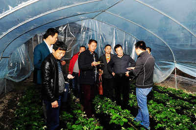 科技賦能，產業升級 湖南懷化引入先進農業技術破解種植難題