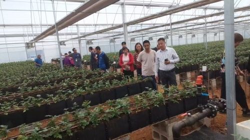 走進田間學校 沉浸式體驗綠色高效農業的“花花世界”