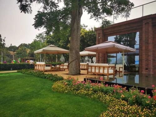 天塹變通途，保山瀘州直航為農(nóng)業(yè)技術(shù)發(fā)展注入新動(dòng)能