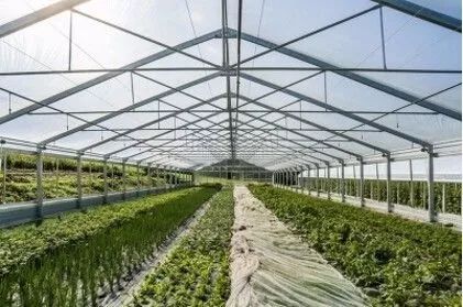 科技引領(lǐng)變革 未來農(nóng)業(yè)發(fā)展趨勢與種植技術(shù)開發(fā)前瞻