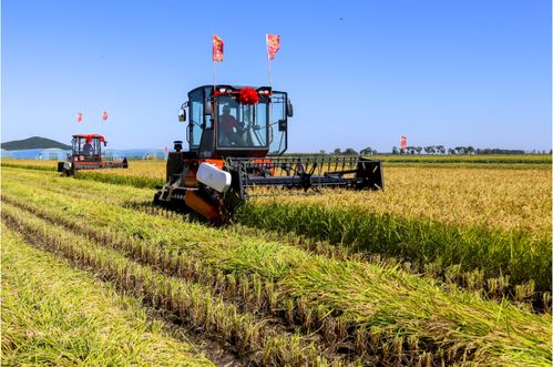 圖片新聞 金秋收獲忙，科技賦能農(nóng)業(yè)種植技術(shù)新篇章