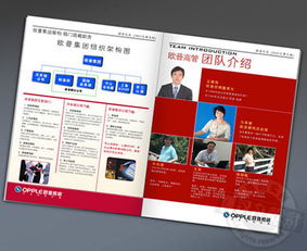 古鎮(zhèn)燈飾畫冊與廣告設計 專業(yè)代理服務助您點亮品牌